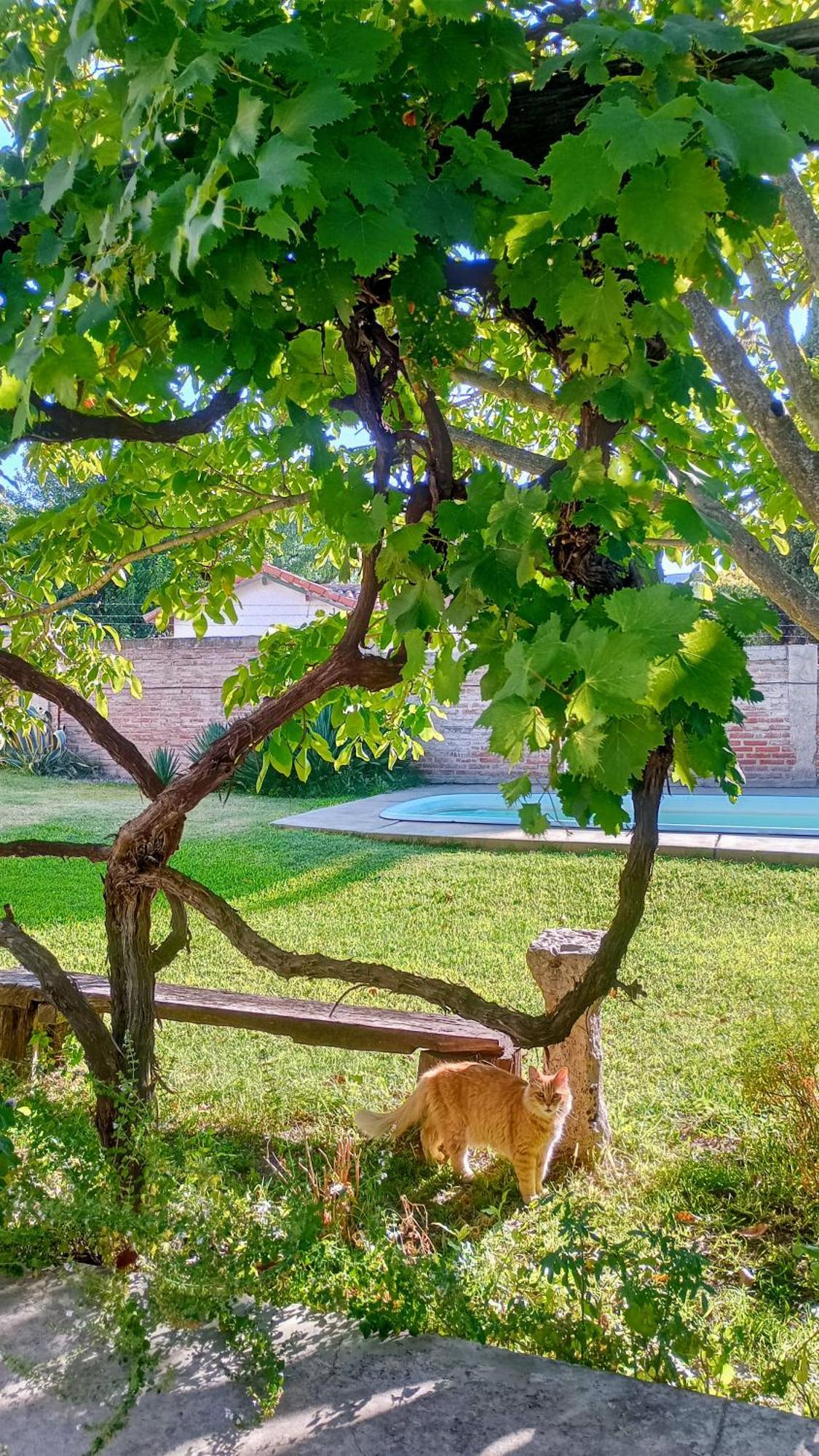 לה קומברה B&B Garden Atelier מראה חיצוני תמונה